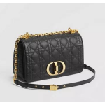 Dior Caro