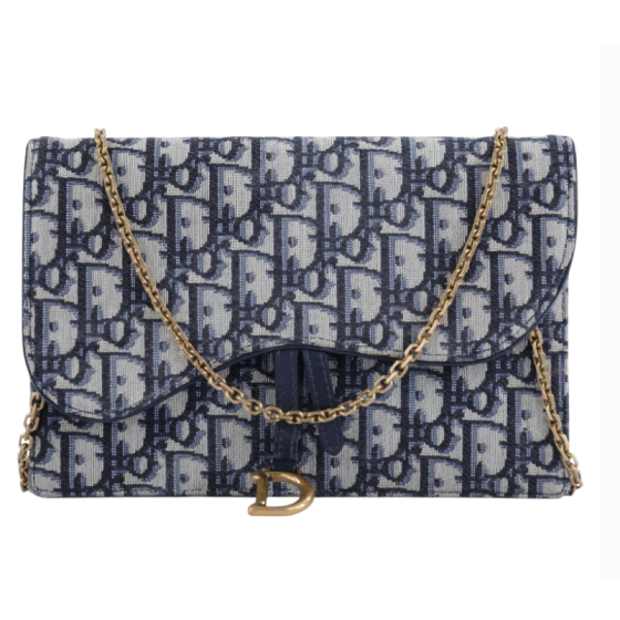 Dior Saddle WOC