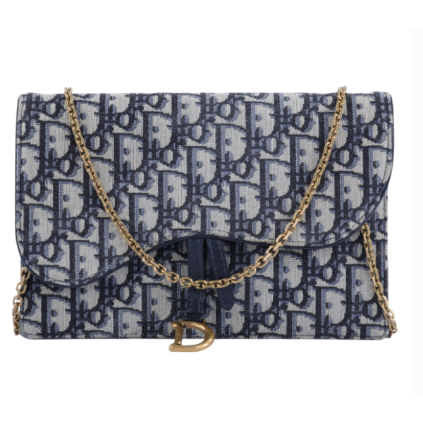 Dior Saddle WOC