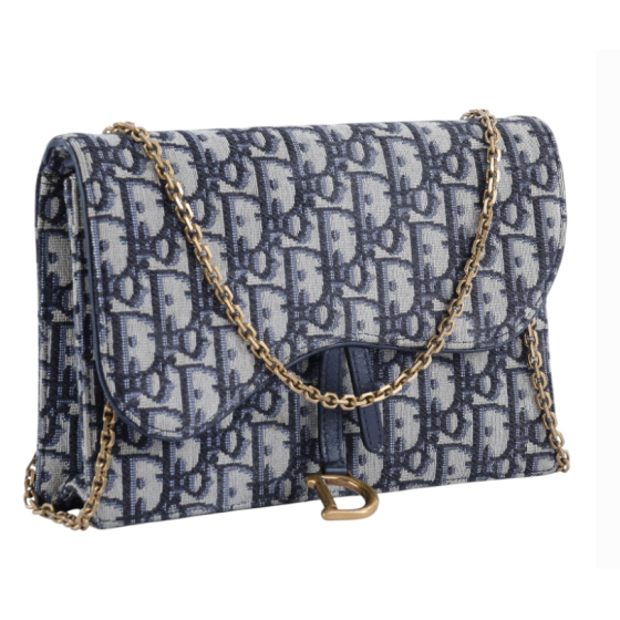 Dior Saddle WOC